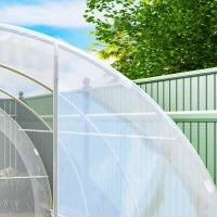 Serra da Giardino a Tunnel 3 x 3 x 2 m 9 m² con Porta a Cerniere Telo, in PE 150 g/m², per Verdure, Piante, Fiori, Trasparente
