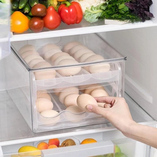 Elettrodomestico per l'immagazzinamento automatico delle uova - contenitore per le uova con coperchio - 36 celle
