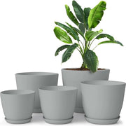 Bacini per piante - Bacino per piante Multisize Grigio Plastico Vasi per fiori Decorativi Moderni Con piante grasse e cacti (Lot da 5)