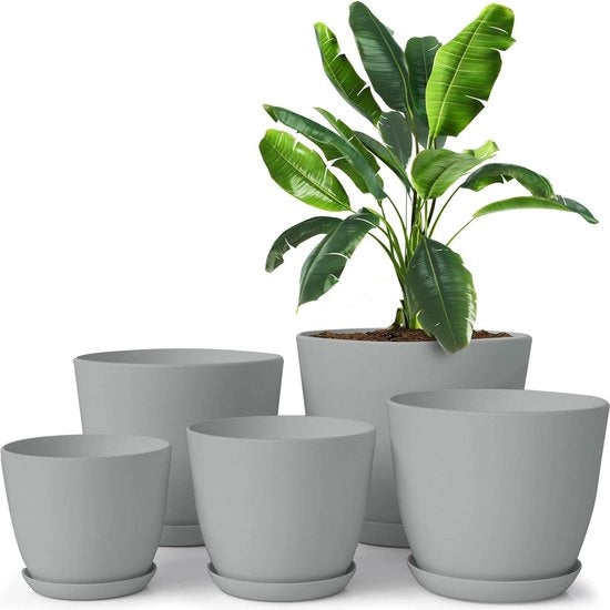 Bacini per piante - Bacino per piante Multisize Grigio Plastico Vasi per fiori Decorativi Moderni Con piante grasse e cacti (Lot da 5)