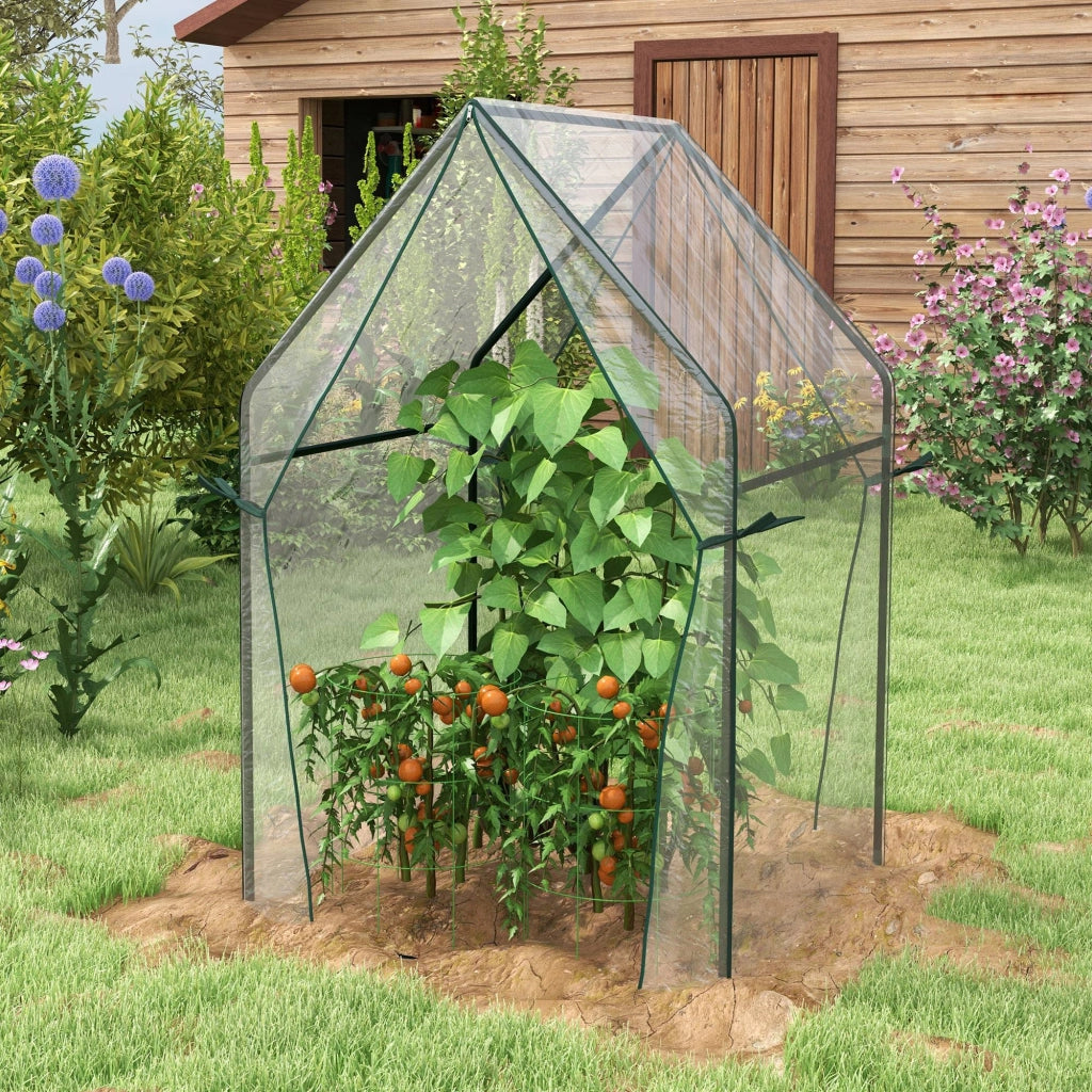 Mini Serra da Giardino con Porte Avvolgibili ¨C zephmum ¨C 90x90x145cm Trasparente