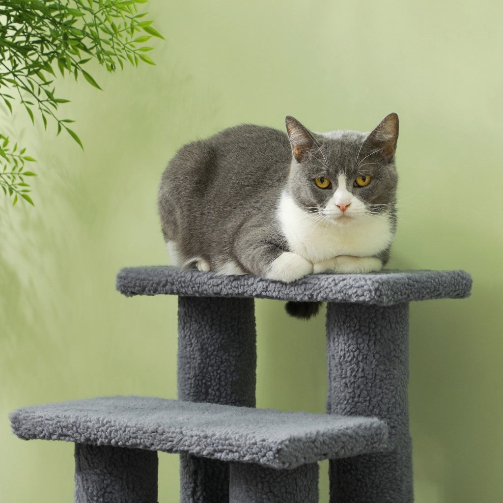 Tiragraffi per gatti a 4 livelli per salire e scendere in truciolato e peluche grigio 63,5 × 43 × 60 cm