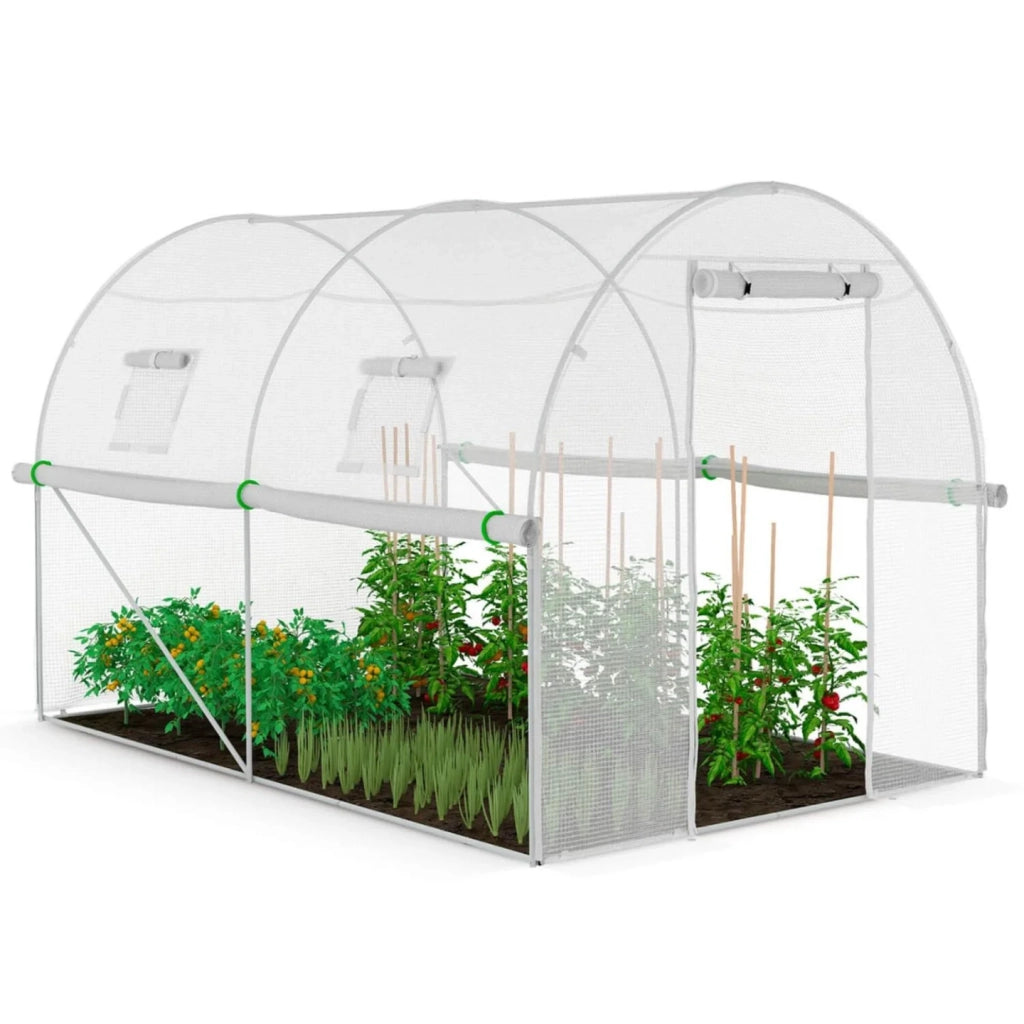 IDMarket - Serra tunnel di giardinario 6m²  bianco 4 stagioni ZEBRA 2x3M