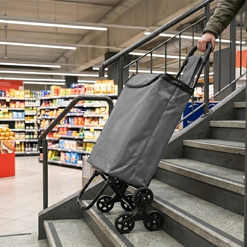 Carrello Spesa Saliscale 6 Ruote Pieghevole con Borsa Impermeabile, Porta Spesa per Scale Supermercato e Casa, Struttura in Acciaio – Il Gruppone   Grigio