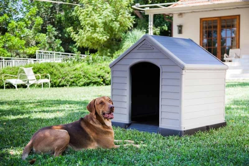 Cuccia per Cani Grand Hotel in Resina 99x99x99 cm con Pavimento Rialzato Resistente agli Agenti Atmosferici Keter