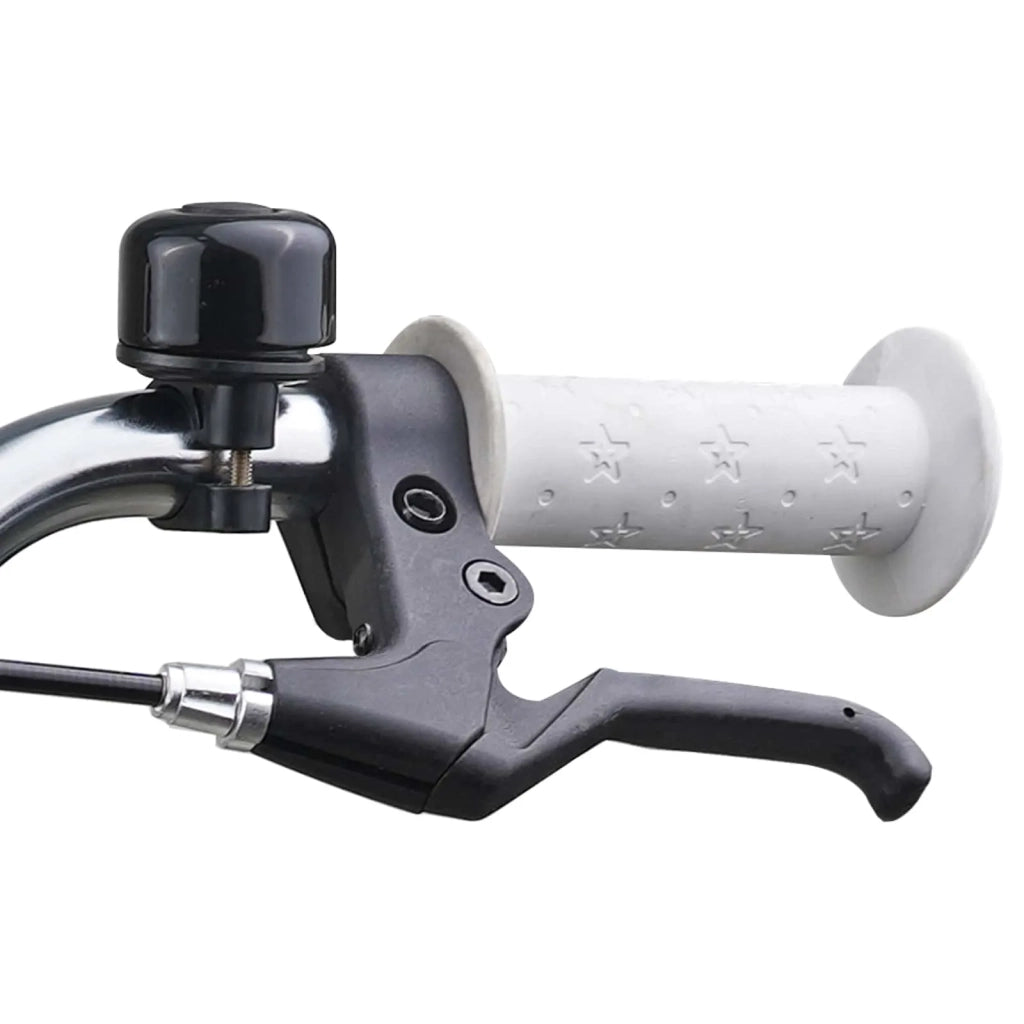 Bicicletta per Bambini 20 Pollici