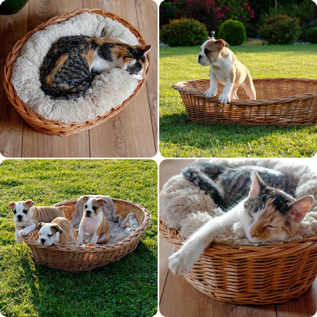 Cuccia per cani e gatti KADAX in vimini naturale, media, ecologica, 65 cm.