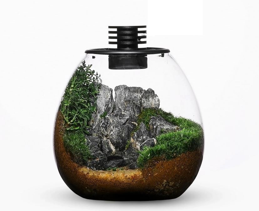 Bioloark Bio Bottle PD170 cm17,5x19,5h - terrario a bolla in vetro con sistema di aerazione e illuminazione LED