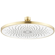 Soffione Doccia Rotondo Rea Js-021 Gold Brush