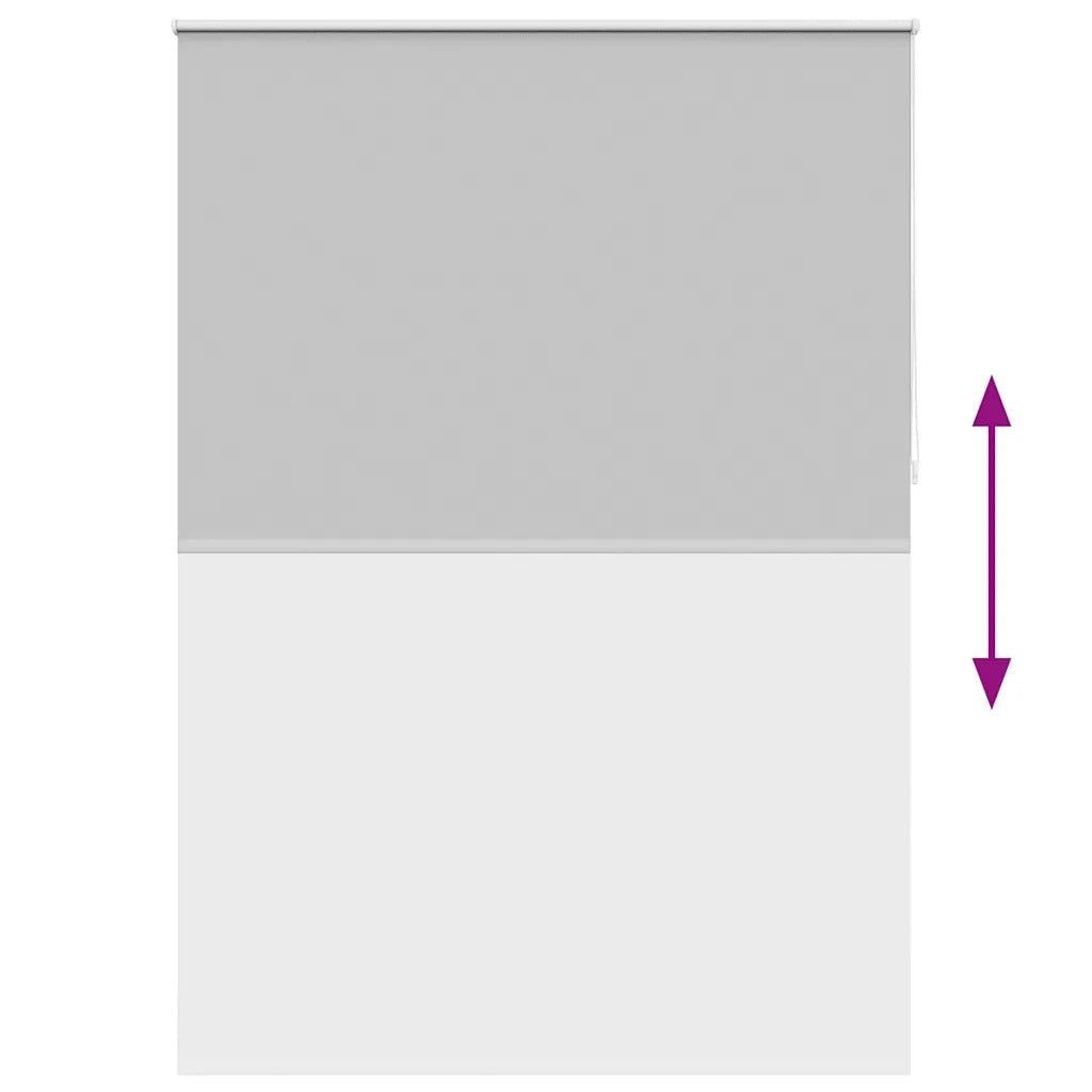 Tenda a rullo oscurante 164,4x230 cm Tessuto Larghezza 160 cm grigio 240180