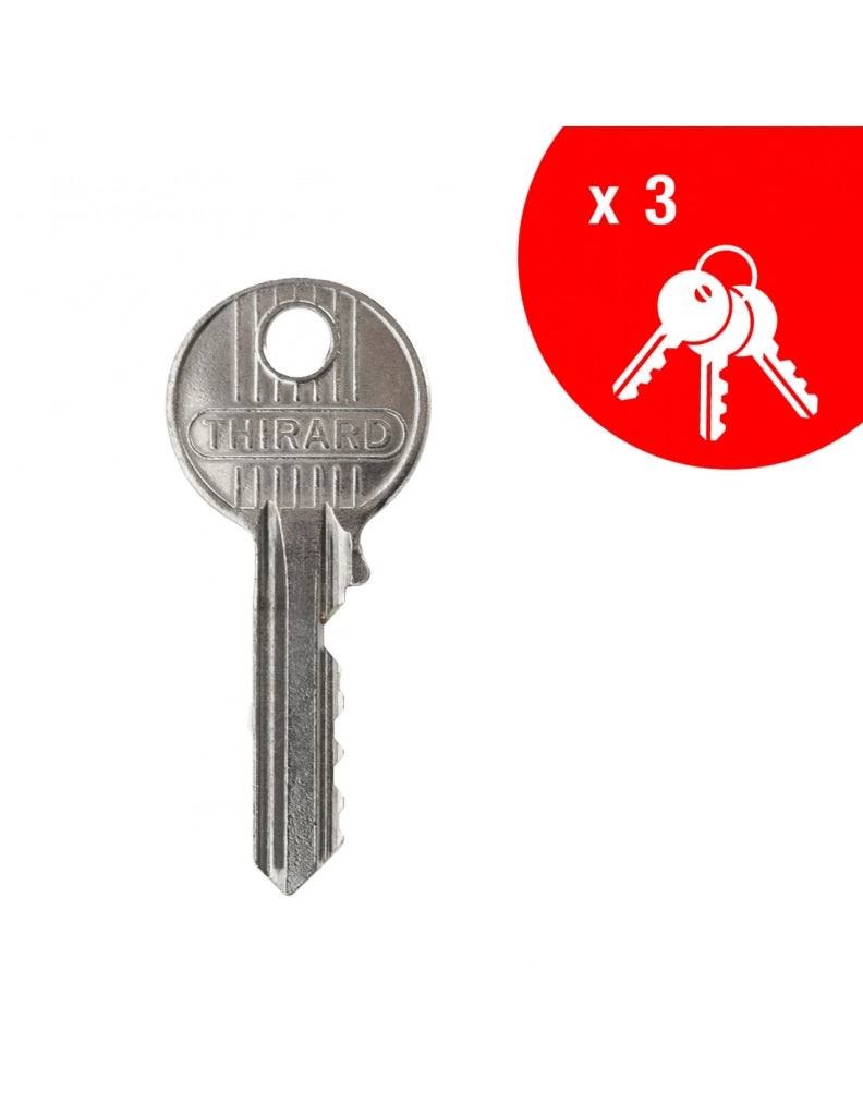 Serratura da applicare a chiavistello, con pomolo, Design 5 per porta d'ingresso, cilindro 50mm, acciaio, 3 chiavi, argento - THIRARD