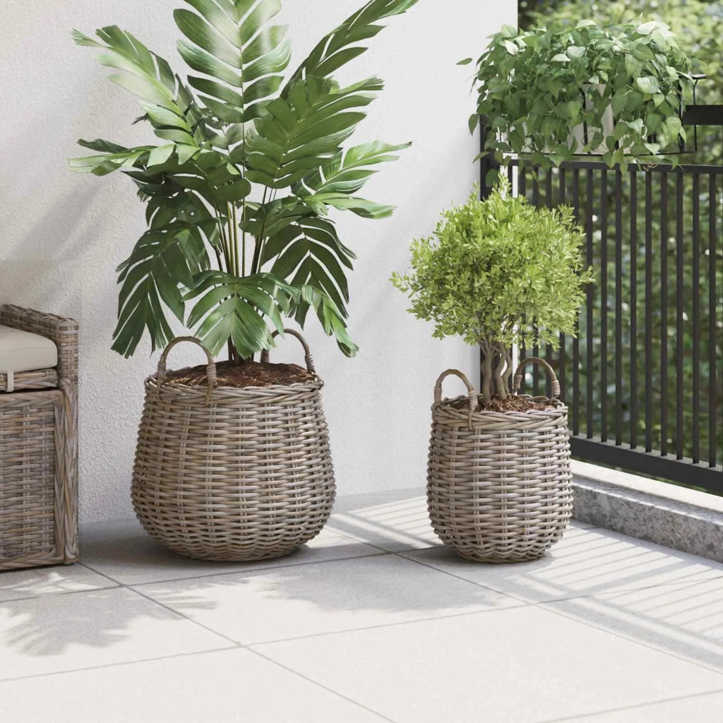 Cestino per piante con archiviazione 2 pcs Grigio Rattan Lacak