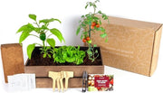 Coltivazione di Verdura Urbana - Semi Biologici Spagnoli - (Semi per Insalata, Radice, Peperoni e Pomodori Cherry) - Kit di Coltivazione Completo