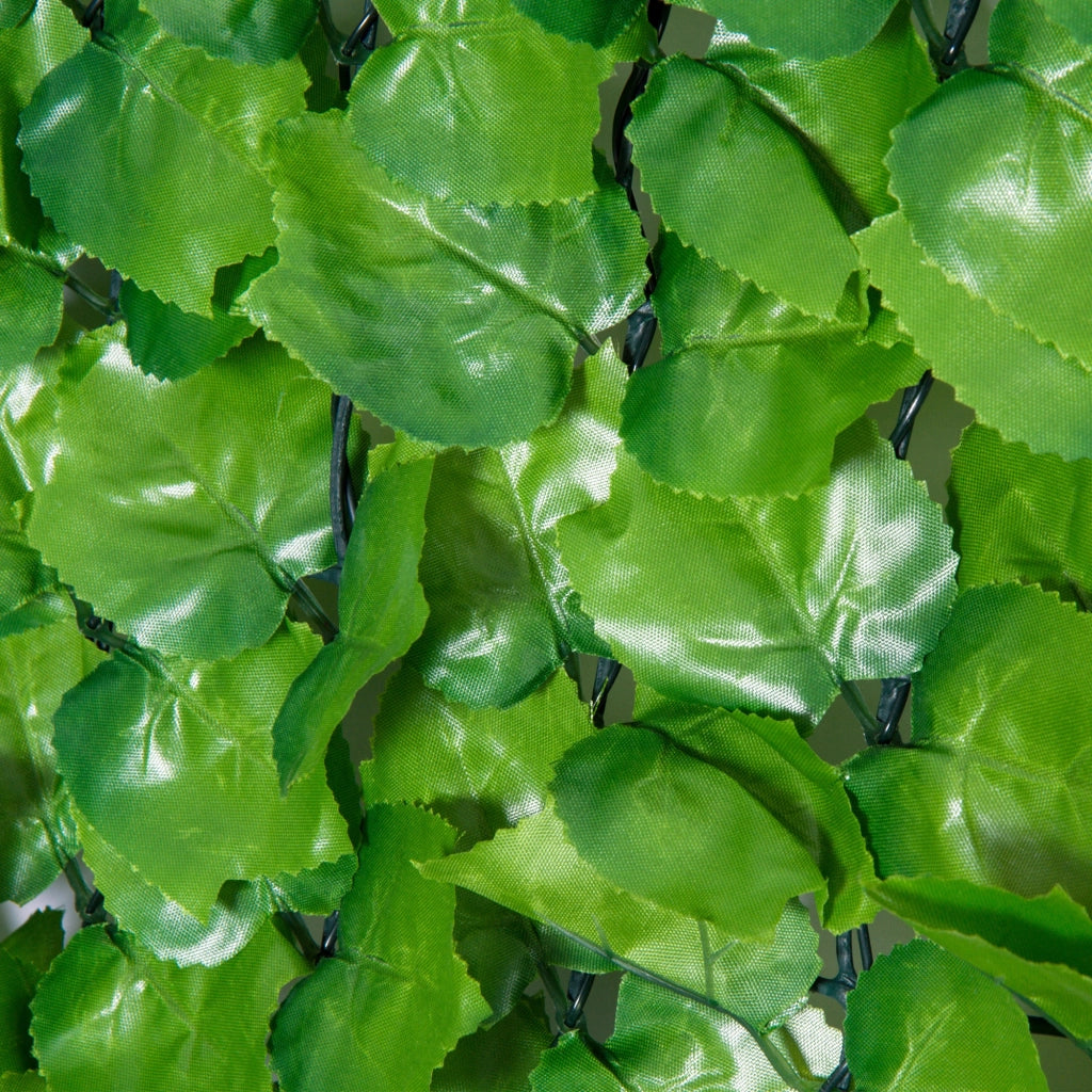 Hedge Artificiale Brise-Vue ¨C zephmum ¨C Verde 300x100 cm