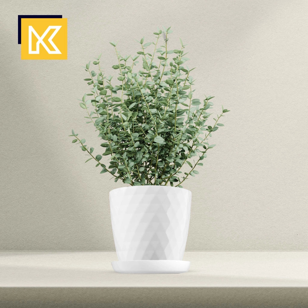 Vaso da fiori in plastica KADAX con supporto e coperchio, 30 cm, bianco.