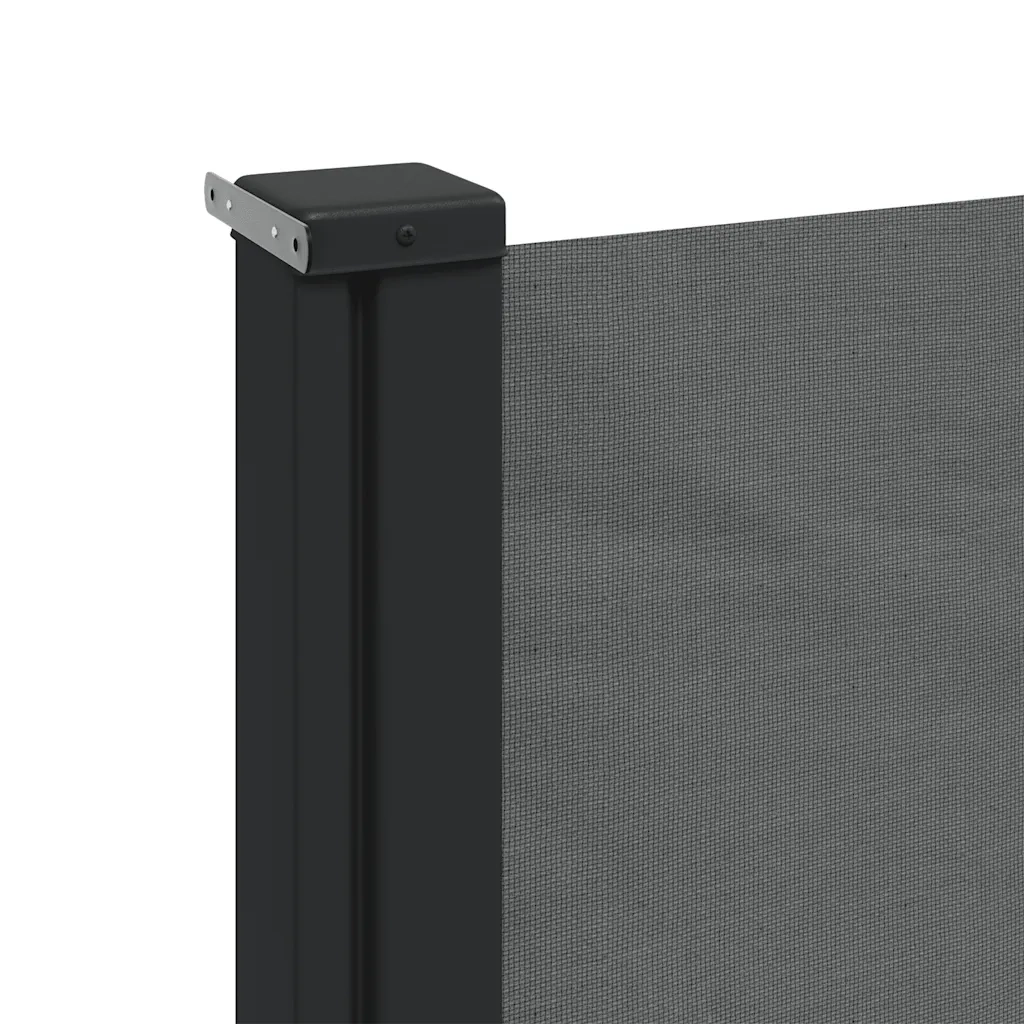 Tenda da sole laterale retrattile antracite 180x300 cm 4004353