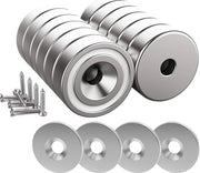 Magnetici forti con viti - 12 pezzi - argento chiaro - 20 x 7 mm