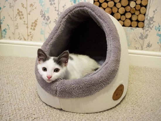 Letto per gatti, letto per cani, pieghevole, per gatti o piccoli cani, morbido, peloso piuma sintetica 47L x 19P x 37D