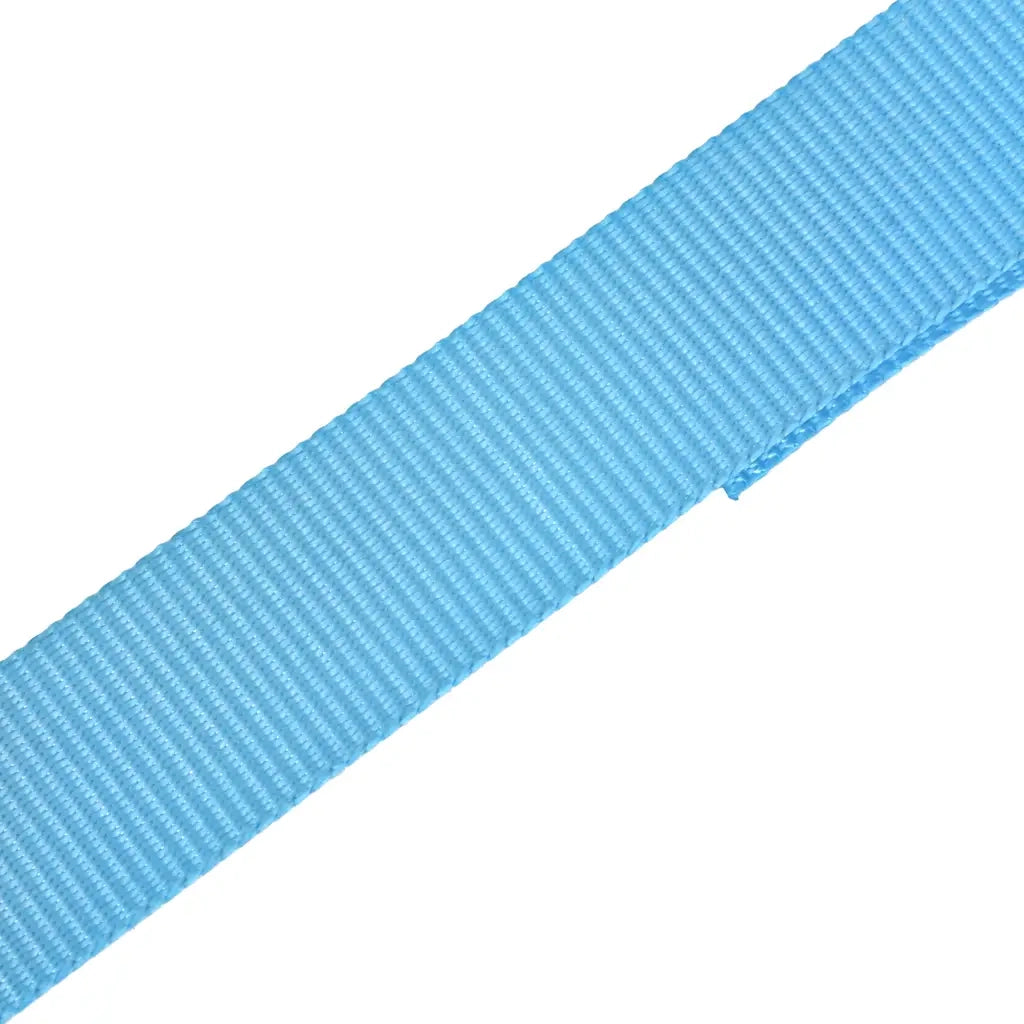 Cinghie d¡¯Ancoraggio 4 pz a Cricchetto 0,8 T 6mx25mm Blu CFW8322550