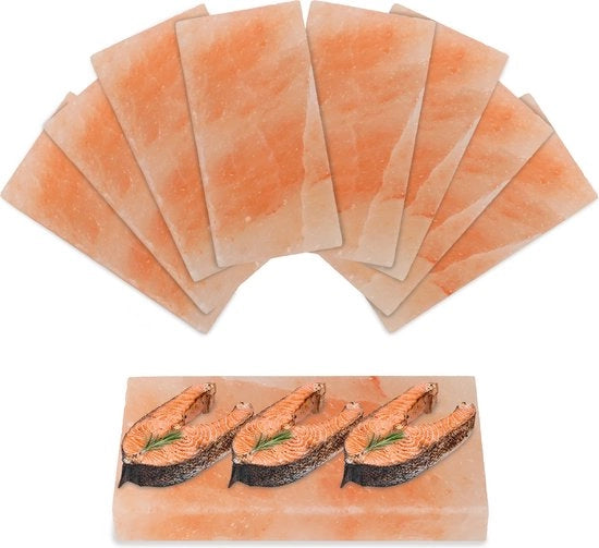 Accessorio BBQ per sale di zucchero 20 cm x 10 cm x 2,5 cm 8X