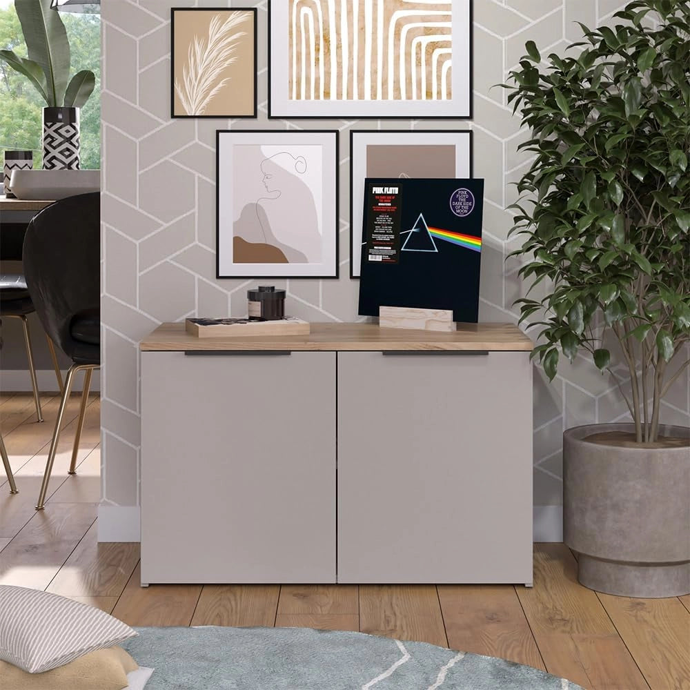 Credenza Wido, Grigio, 80 x 50 cm con 2 porte, adatto per riporre abiti e oggetti per la casa