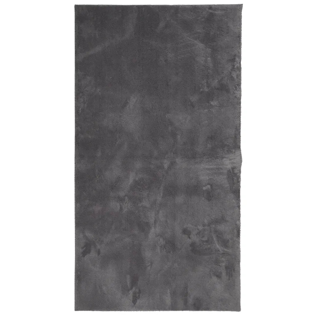Tappeto a Pelo Corto HUARTE Morbido Lavabile Antracite 60x110cm 374994