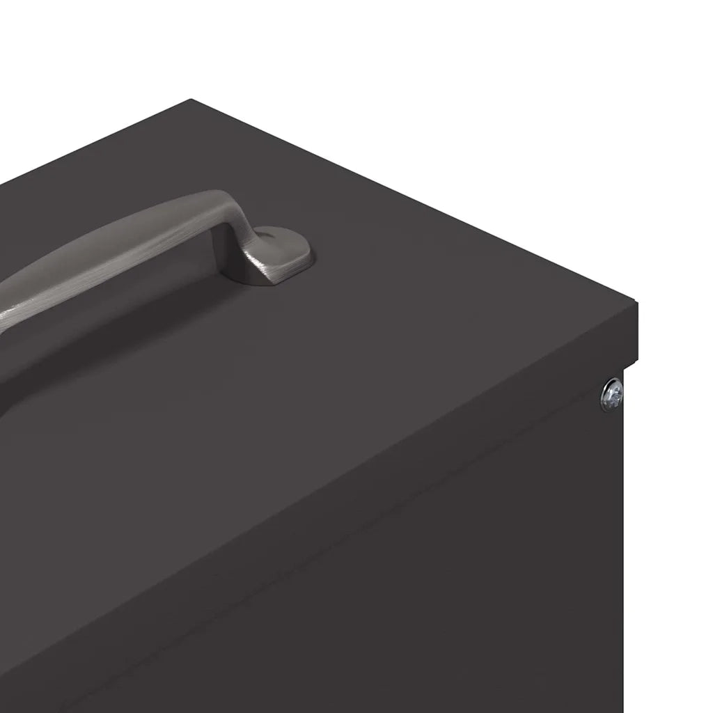 Feeder per pollo Nero 20 x 25 x 35 cm Acciaio laminato a freddo CFW2063604