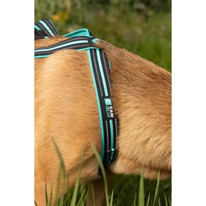 Pettorina da trazione per cani - OLYMPIA - XS - Tipo X-back - Blu