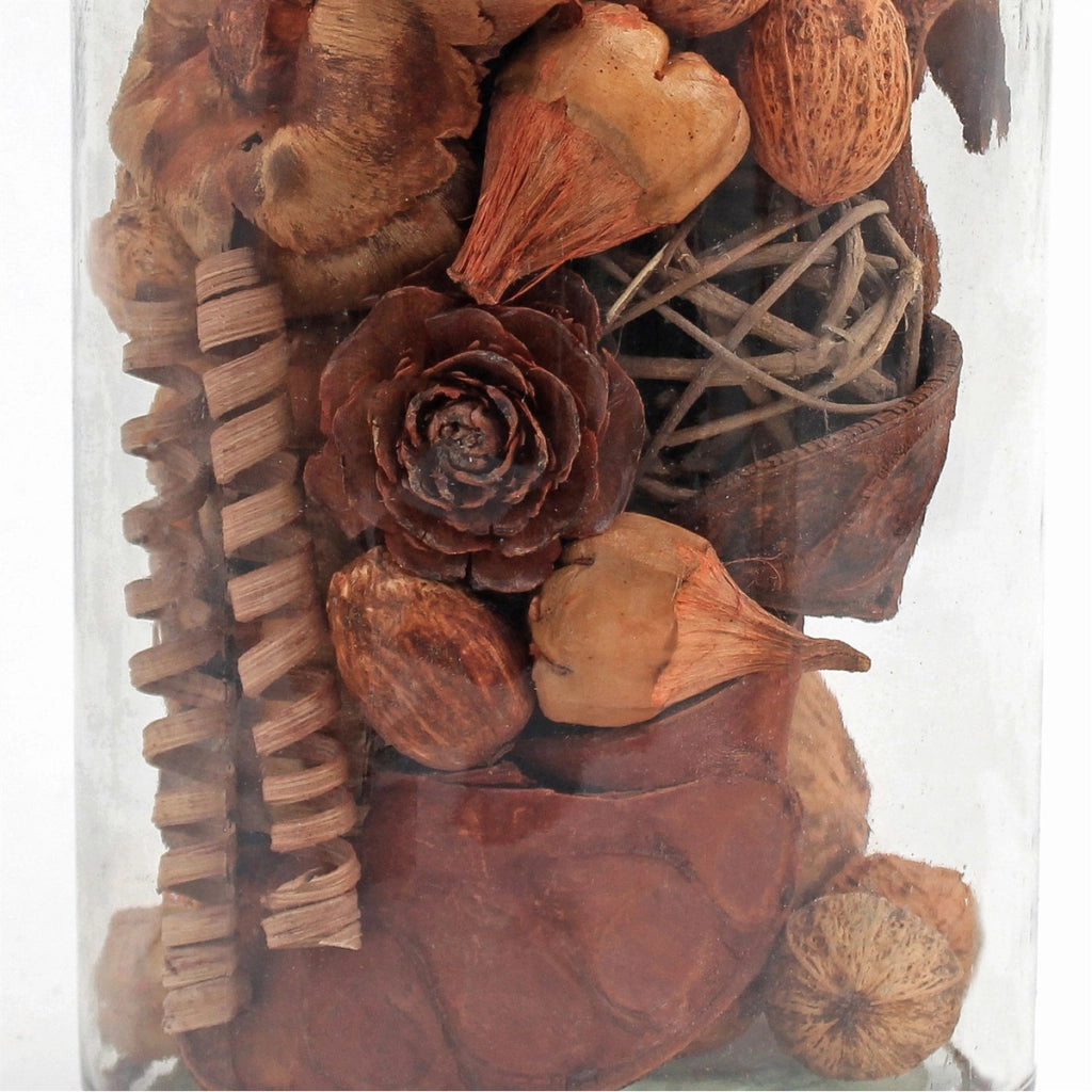 Vaso Decorativo Flora 110 con Fiori Secchi Marrone Chiaro