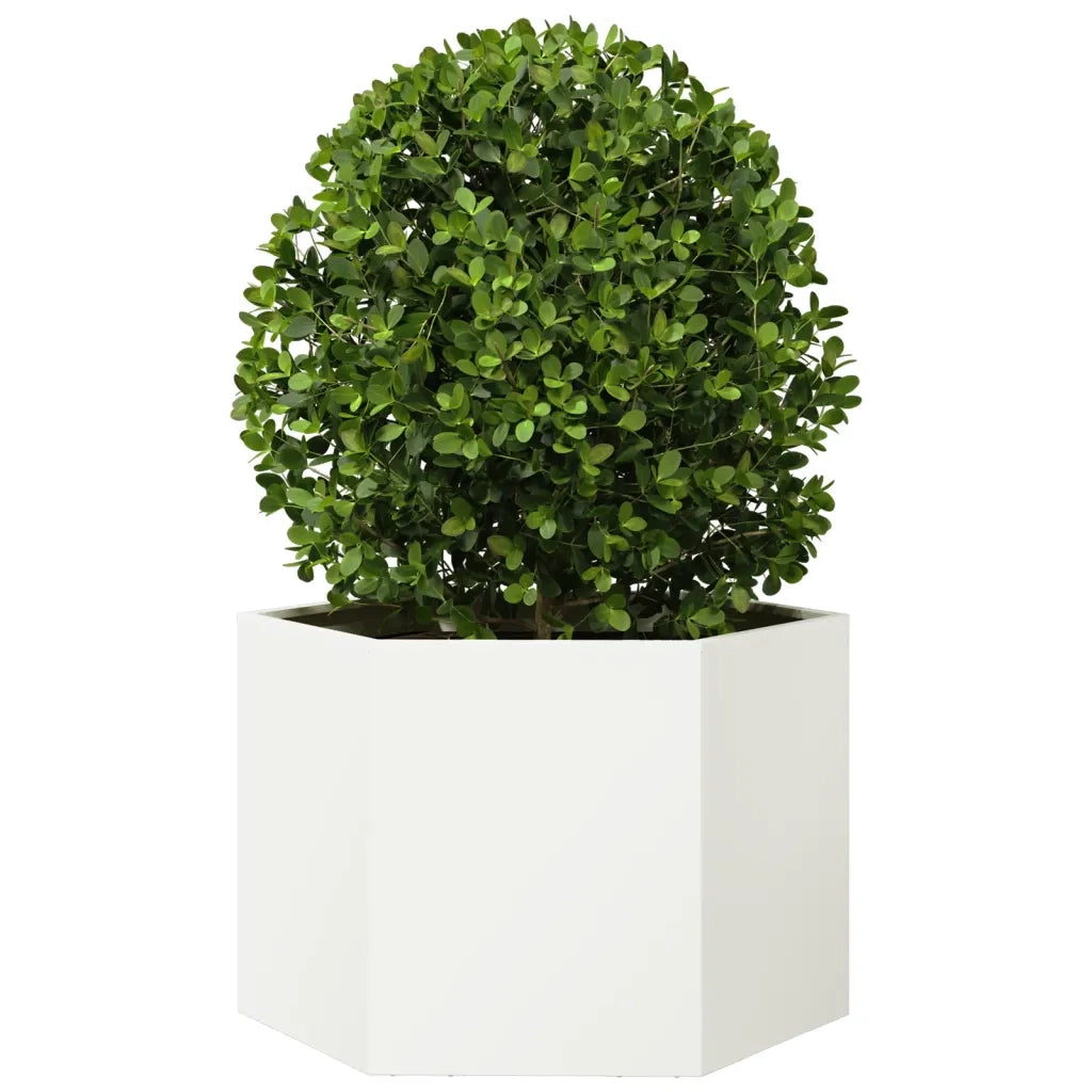 Fioriera | Cassetta per fiori | Vaso da Giardino Bianca Esagono 69x60x45 cm in Acciaio