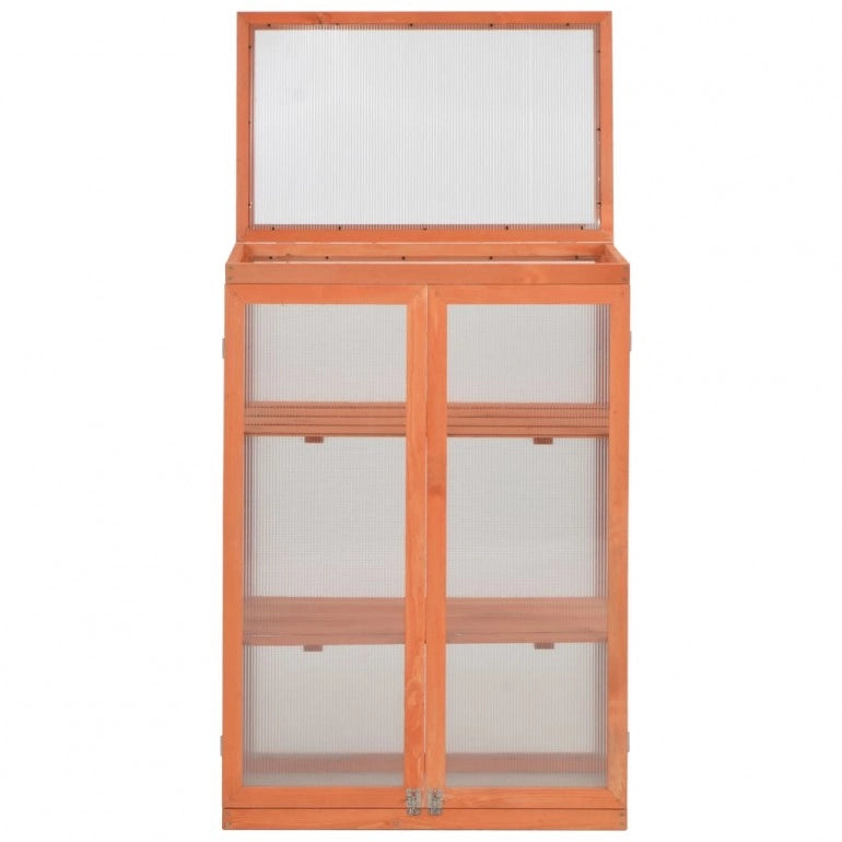 Serra ad armadio in legno con 2 ante e tetto apribili e copertura in policarbonato. Dimensioni 750 x 450 H 1090 mm