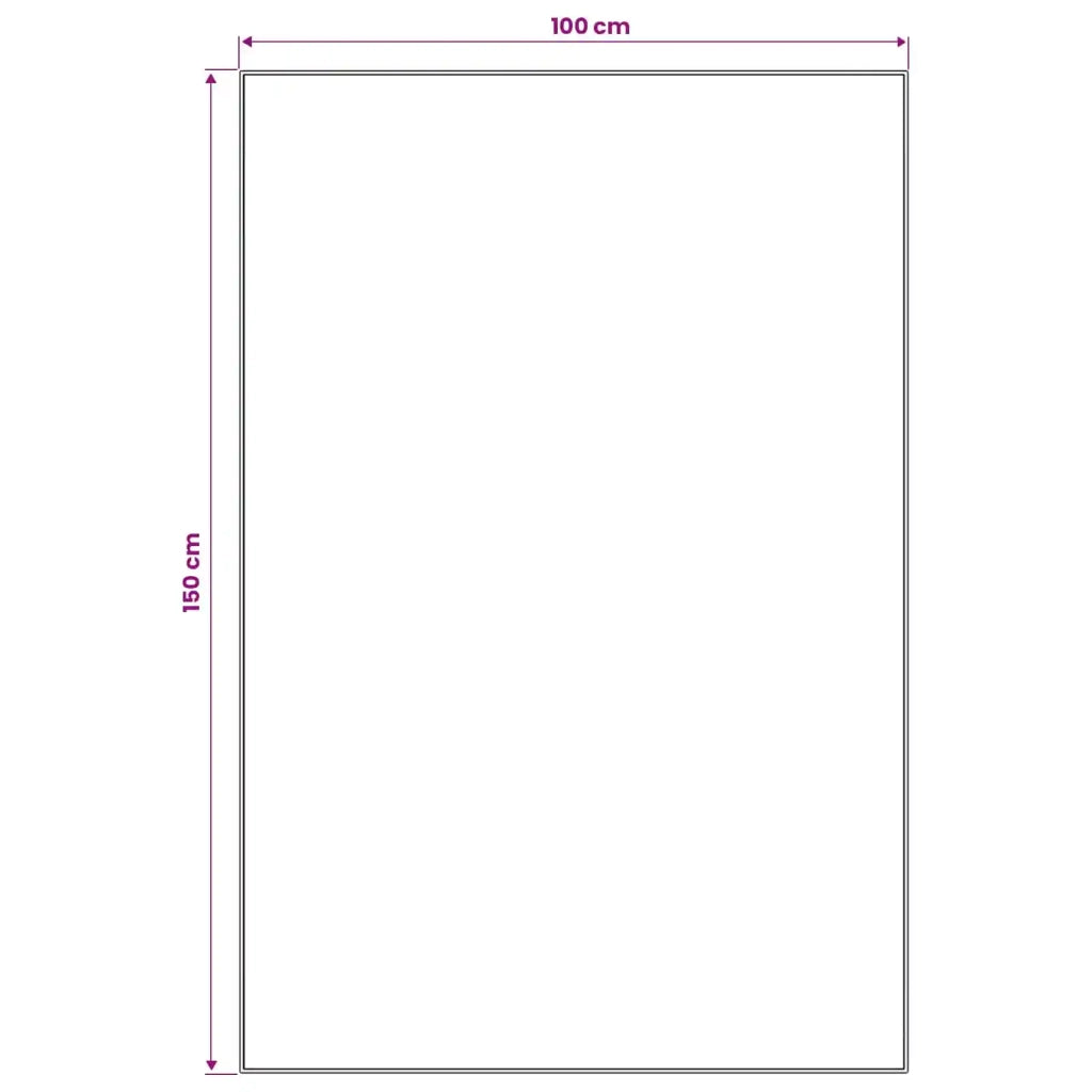 Runner Tappeto LESAKA colorato 100 x 150 cm Velluto diamante 42045352