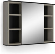Specchio contenitore bagno Joli, Grigio, 80 x 60 cm con specchio