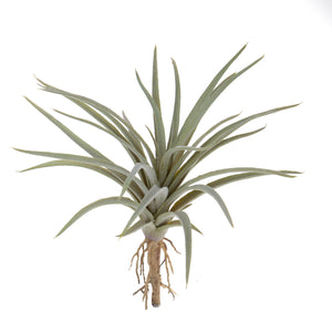Set 6 Foglie Artificiali Tillandsia 16 cm