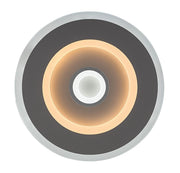 Plafoniera LED Rabalux Taneli 20cm 20W bianca tonda CCT