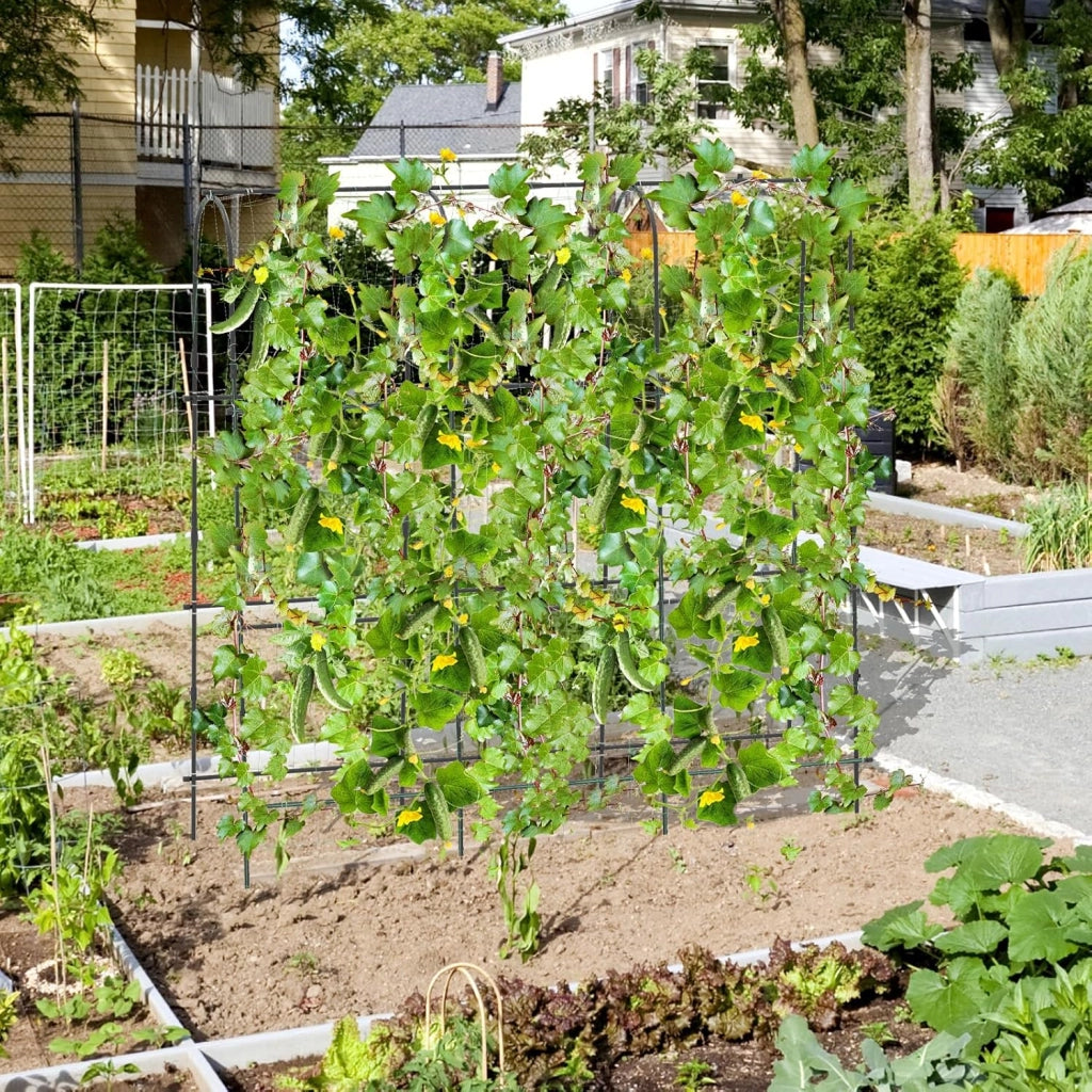 Traliccio per Piante Rampicanti ad Arco 179 x 180 cm, Trellis Alto a Forma di U per Cetrioli da Letto Rialzato con Rete, Supporto per Piante all'Aperto per Frutta e Fiori
