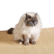 Mat di sicurezza per gatti - tappeto di sisal - 2 pezzi - 40 x 60 cm