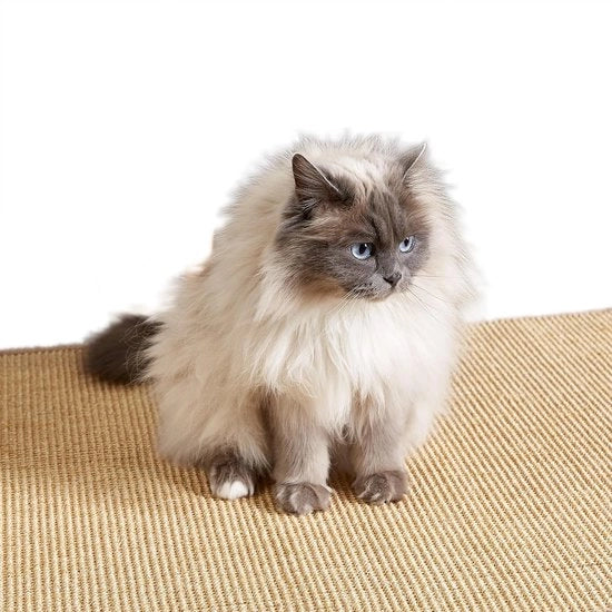 Mat di sicurezza per gatti - tappeto di sisal - 2 pezzi - 40 x 60 cm