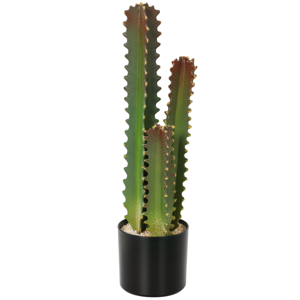 Cactus Artificiale Verde con Vaso 66 cm ¨C zephmum ¨C Decorazione Interni