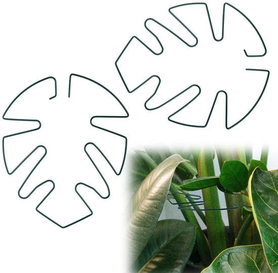 Supporto foglia Monstera - Sostegno per piante rampicanti - Verde - Stabilizzatore per crescita verticale - Supporto per piante - Adatto per interni 

Modello: 
Specifica: 
Codice prodotto: