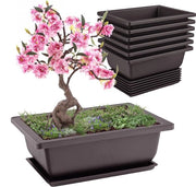 Set di Ciotole per Bonsai da 6 con Ciotole per Uso Interno ed Esterno