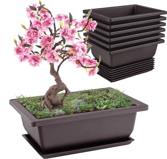Set di Ciotole per Bonsai da 6 con Ciotole per Uso Interno ed Esterno
