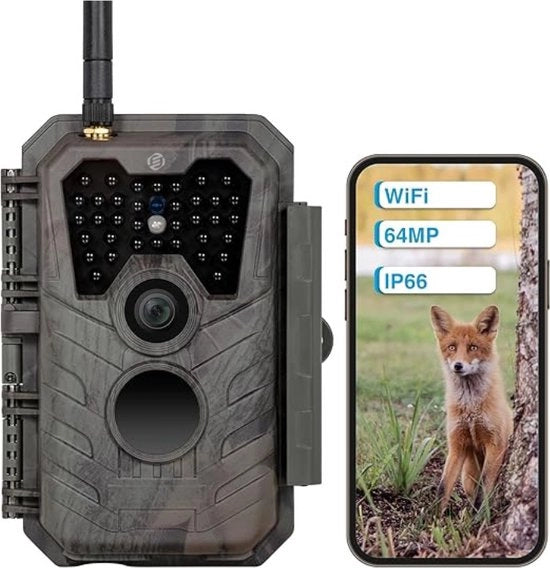 Cassa di osservazione per la natura - camera esterna con visione notturna - osservatorio per la natura