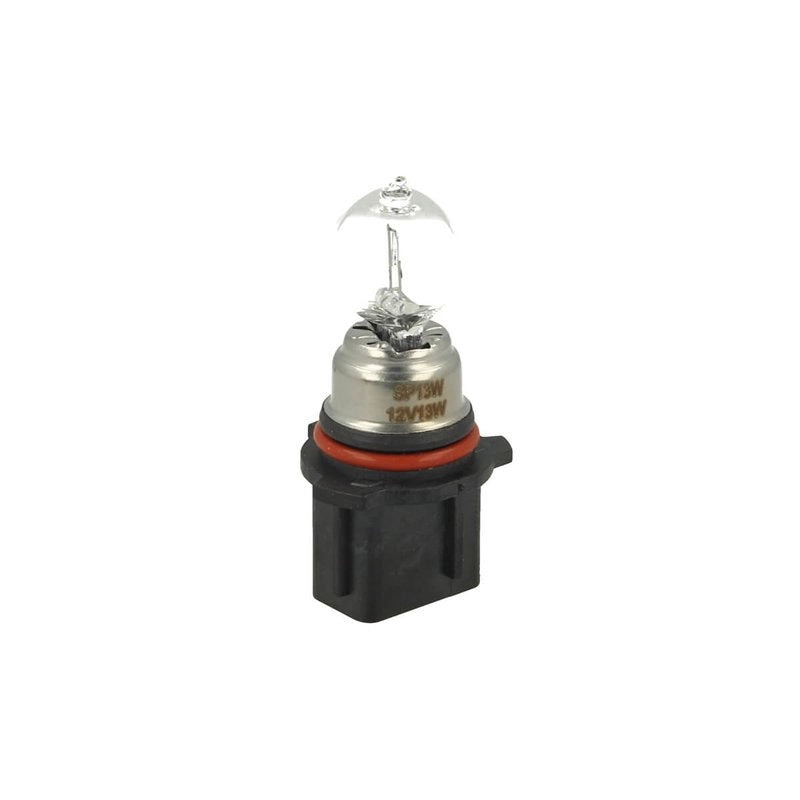 2 PZ Lampada Alogena P13W 12V 13W PG18.5d-1 DRL Clear Compatibile Philips