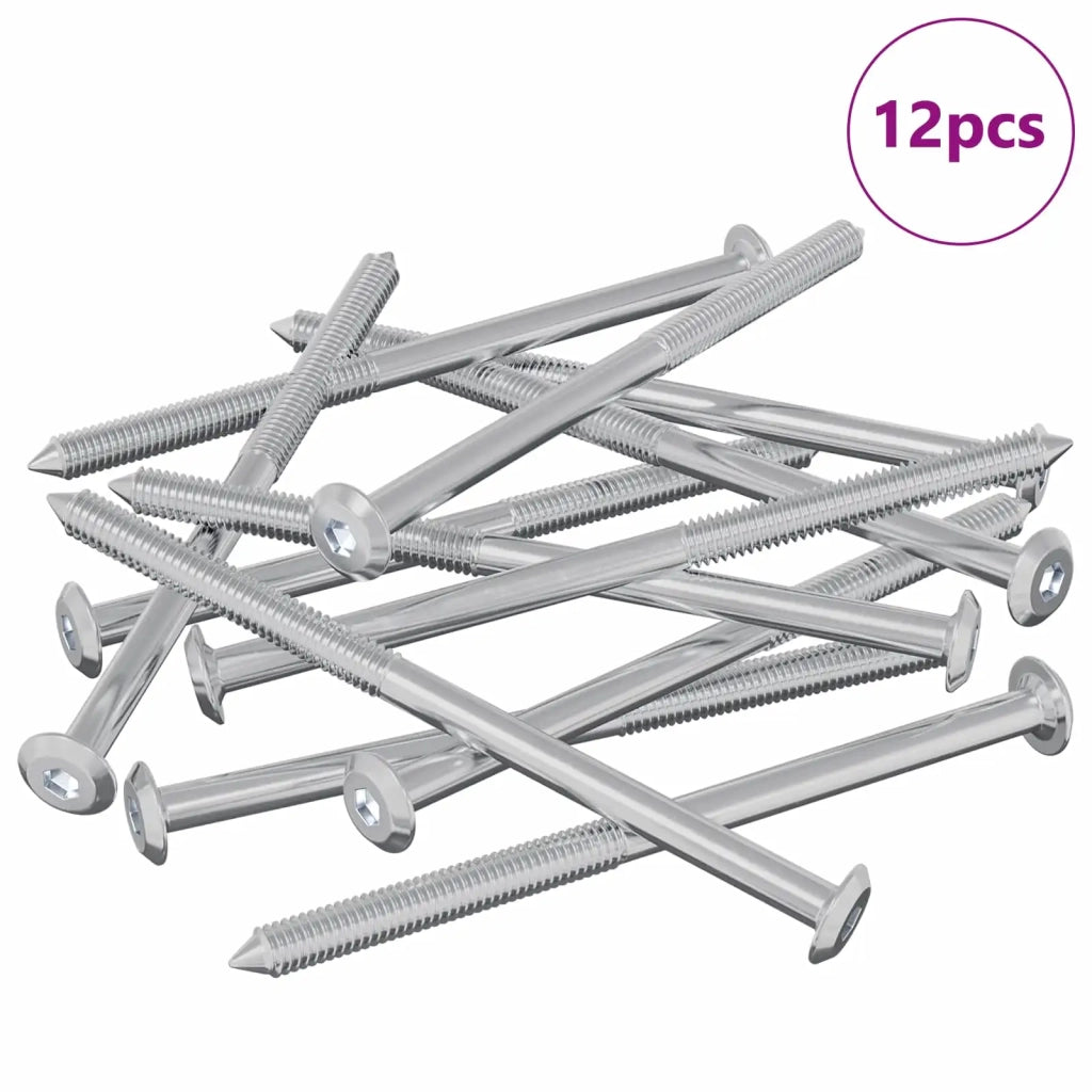 Viti per mobili 12 pz Argento M6 x 100 mm Acciaio CFW9554183