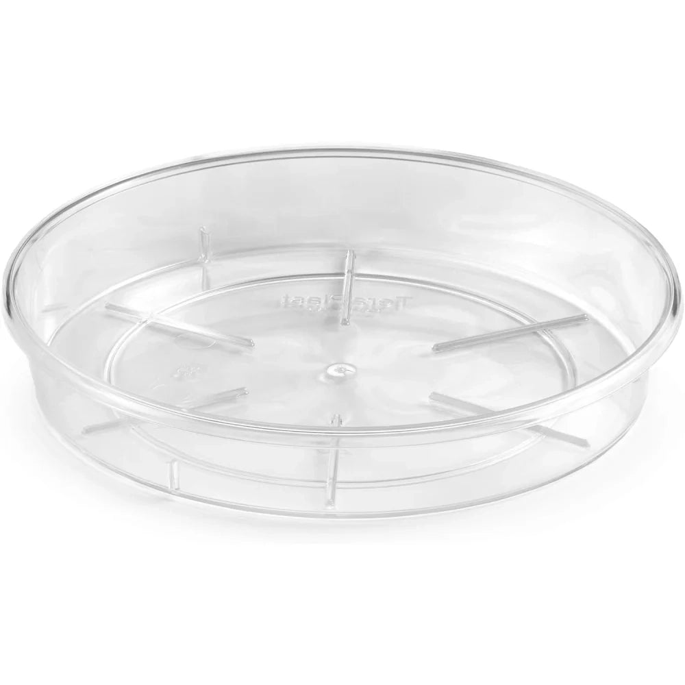 Teraplast clear plato 14 clear plato 14 clear