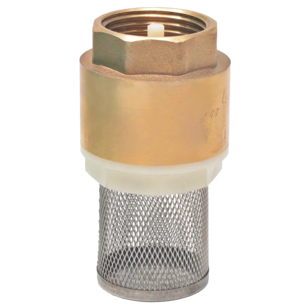 Tubo di Aspirazione con Connettori in Ottone 7 m 25 mm Verde CFW6365727