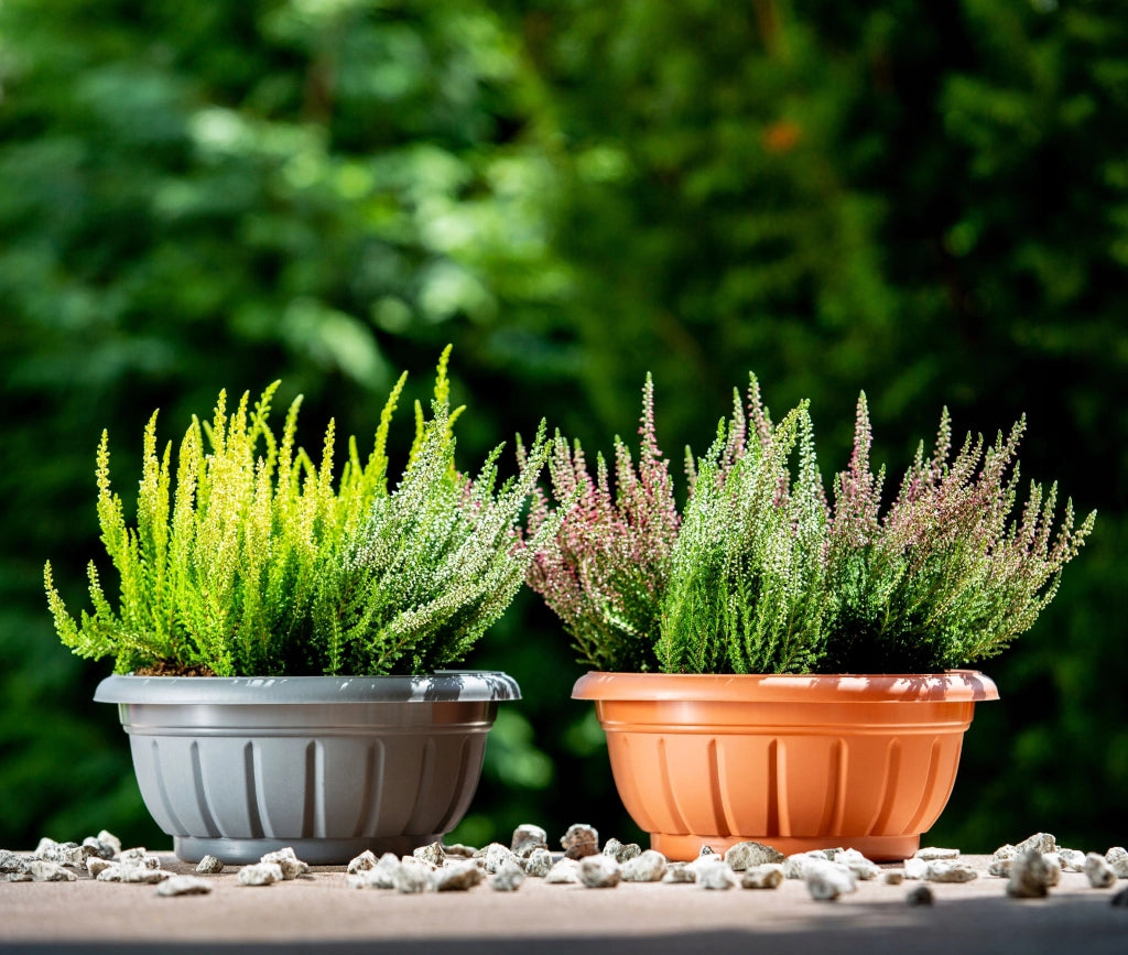 KADAX Copertura per vaso da fiori, ciotola per cimitero, fiori da tomba, plastica, cimitero, 20 cm
