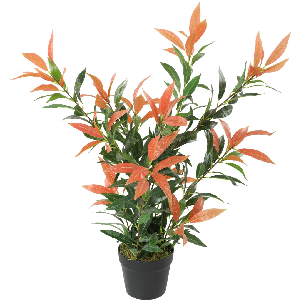 Pianta Artificiale Glossy 90 cm ¨C zephmum ¨C Rosso+Verde 45x45x90