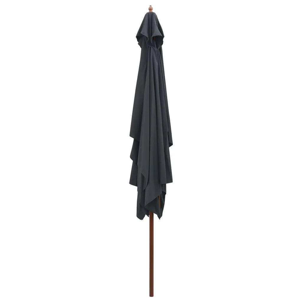 Ombrellone da Esterni con Palo in Legno 200x300 cm Antracite
